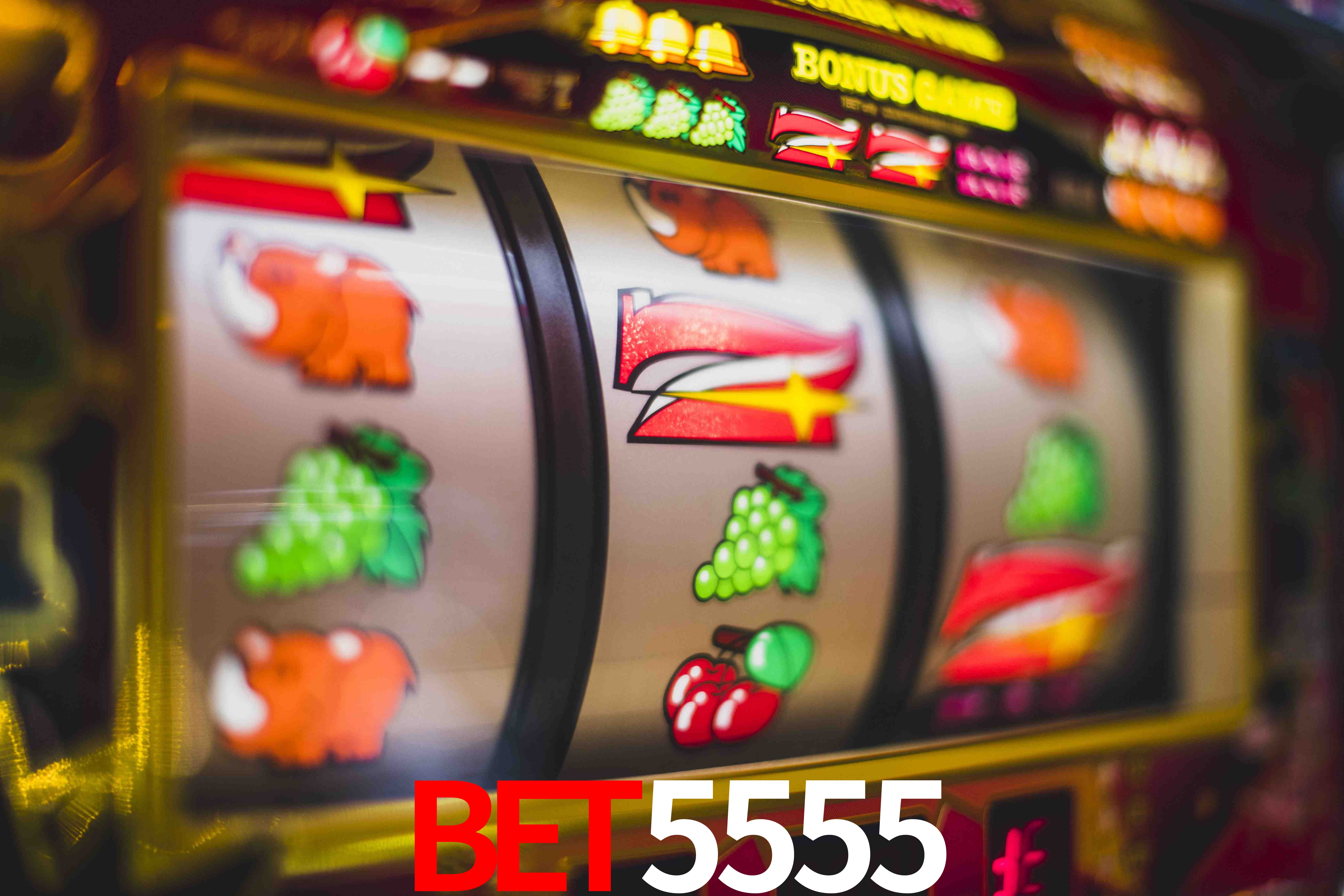 Statistics bet5555