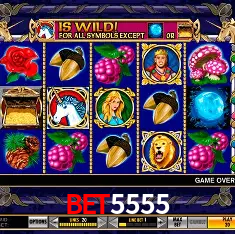bet5555 Brasília - Casino Guide